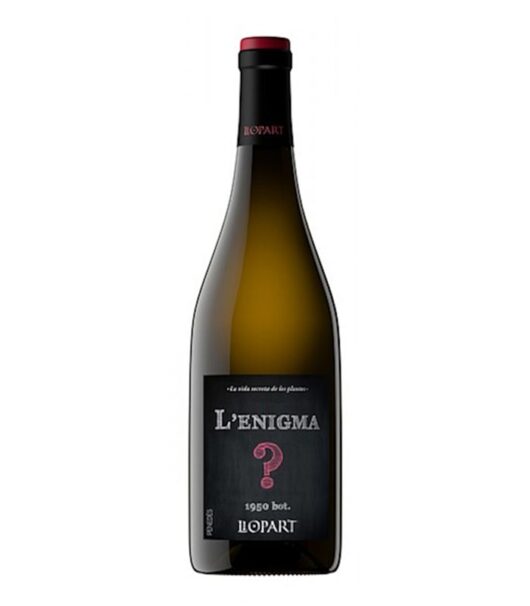 L'Enigma 2019