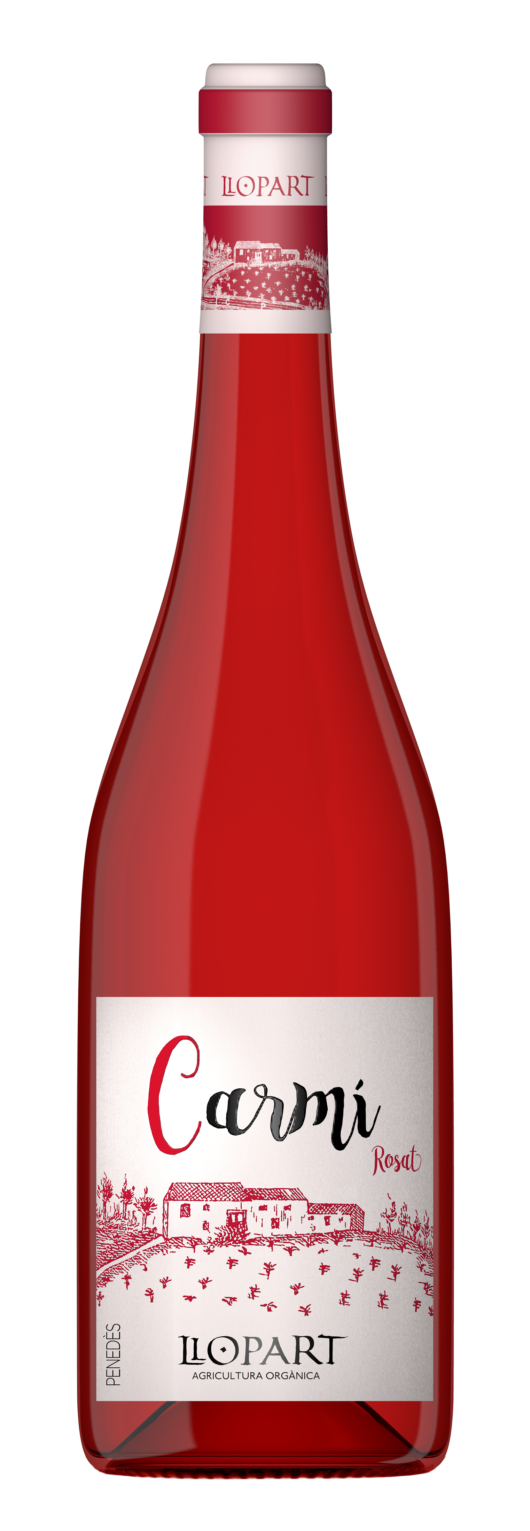 CARMÍ 2021