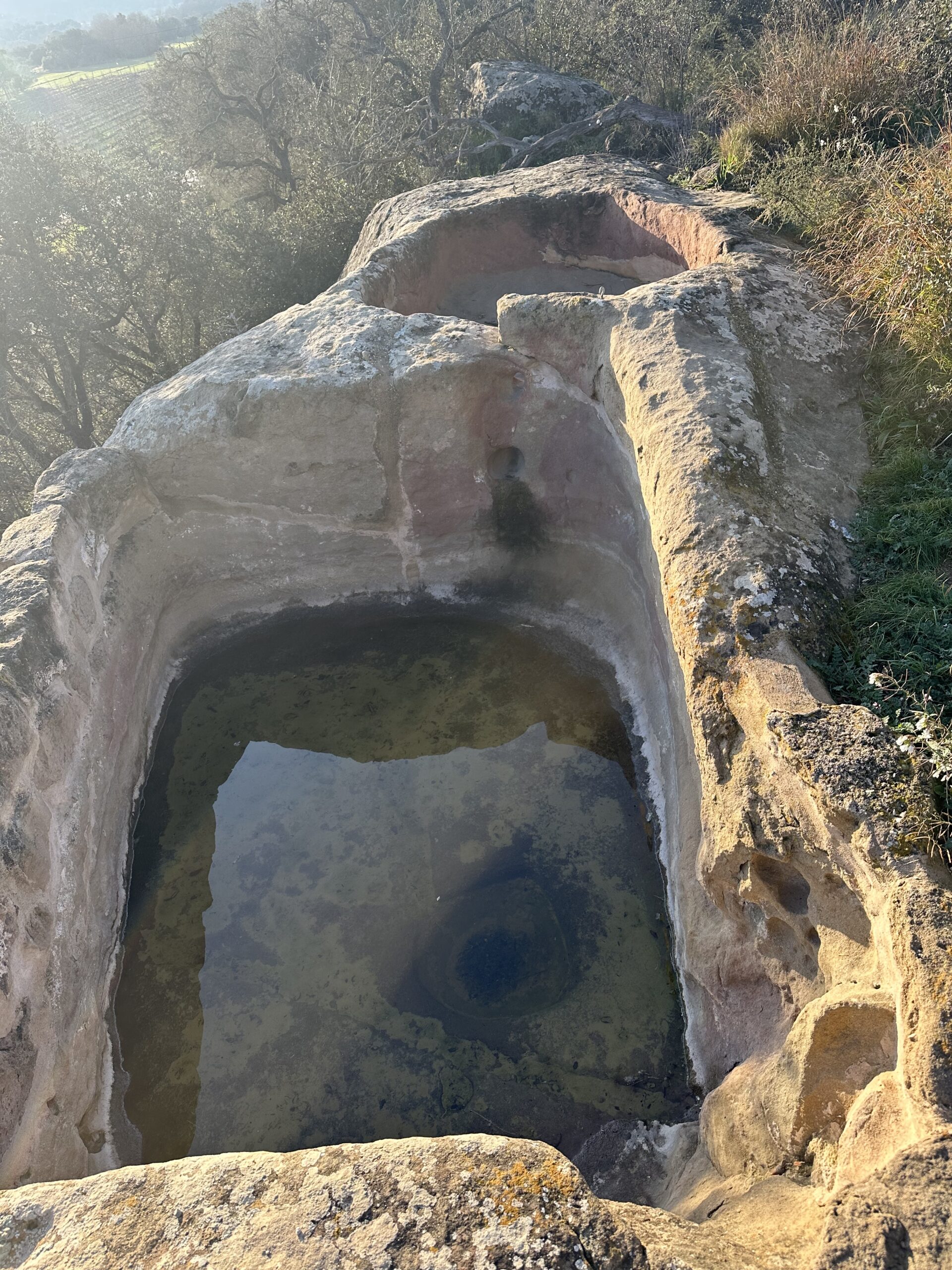 Finca Siós Vi de Pedra 2021 - Image 2